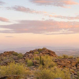 Desert Landscape with Cactus