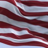 image of flag with capital building in background